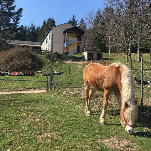 Le centre la Renardière en images