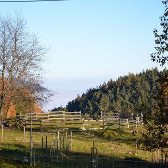 Le centre la Renardière en images