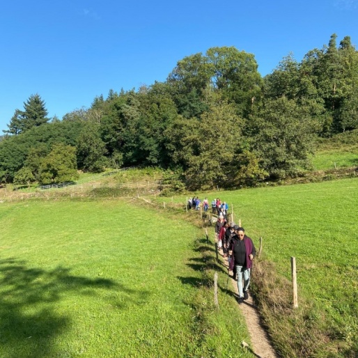 Le centre la Roche en images
