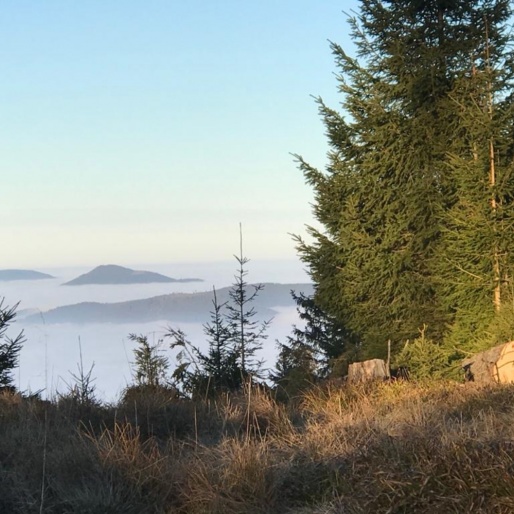 Le centre la Renardière en images
