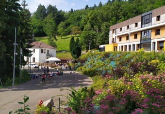 Respirez la vallée de Munster, partagez l'essentiel !