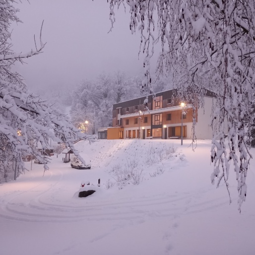 Le centre la Roche en images