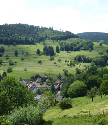Venez faire du roller sur le plateau sportif du centre La Roche